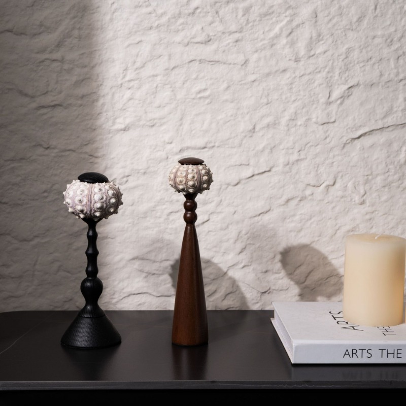 Interior Design Exhibition - Yaratıcı Kabuklu Heykel El Işi Denizden